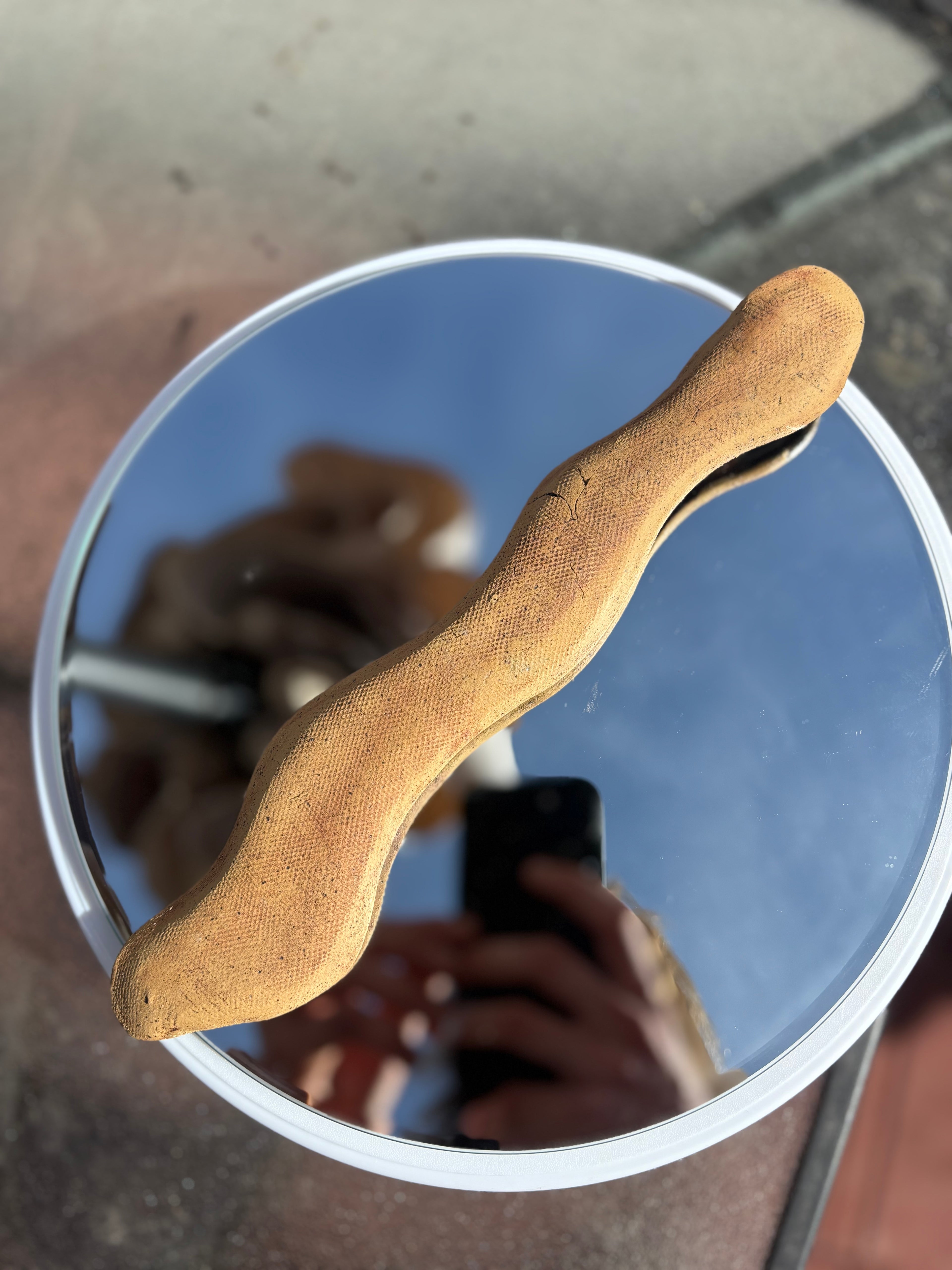 Trinket Dish