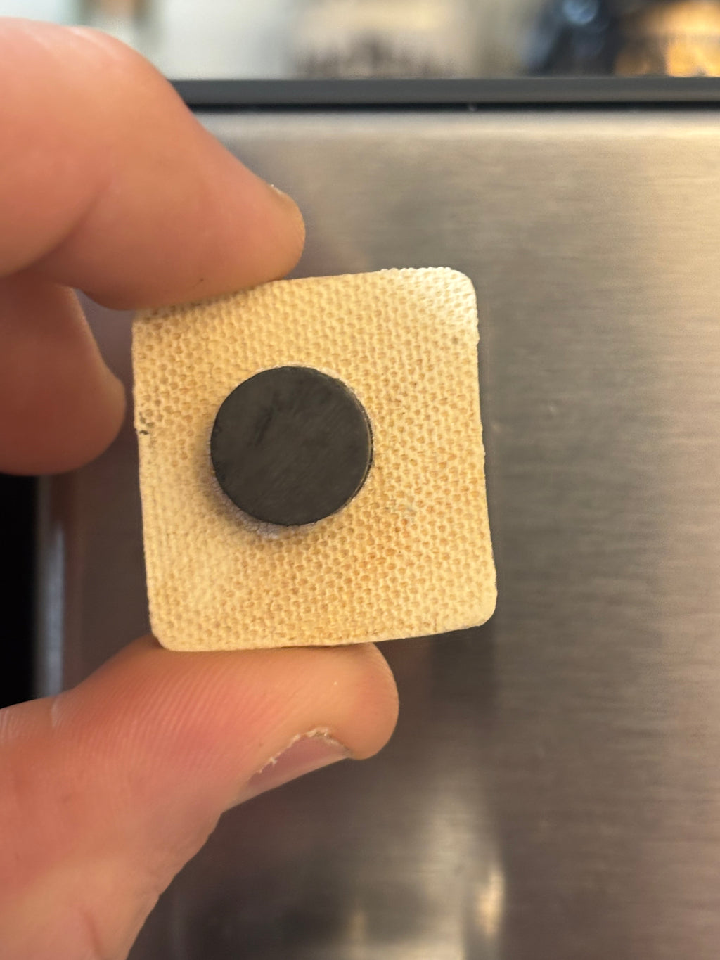 Fridge Magnet